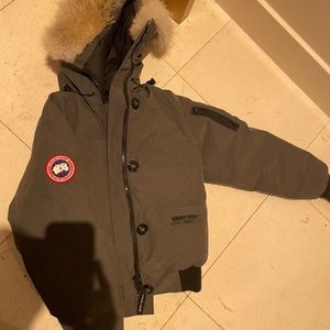 Canada goose
